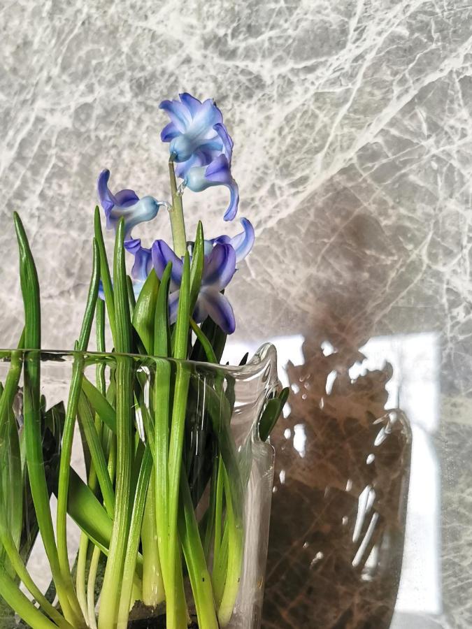Siedlisko Koscielisko 아파트 외부 사진